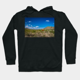 Criollo Cattle on the Open Range Hoodie